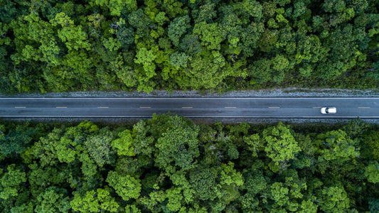 The Rise of Electric Vehicles: Assessing the Percentage of Adoption