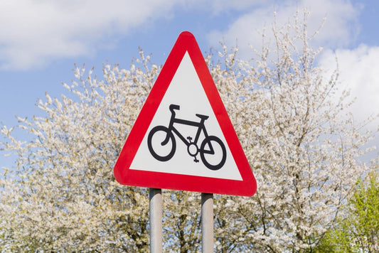 Creating a Sustainable Transportation System: What it Looks Like and Why it's Important