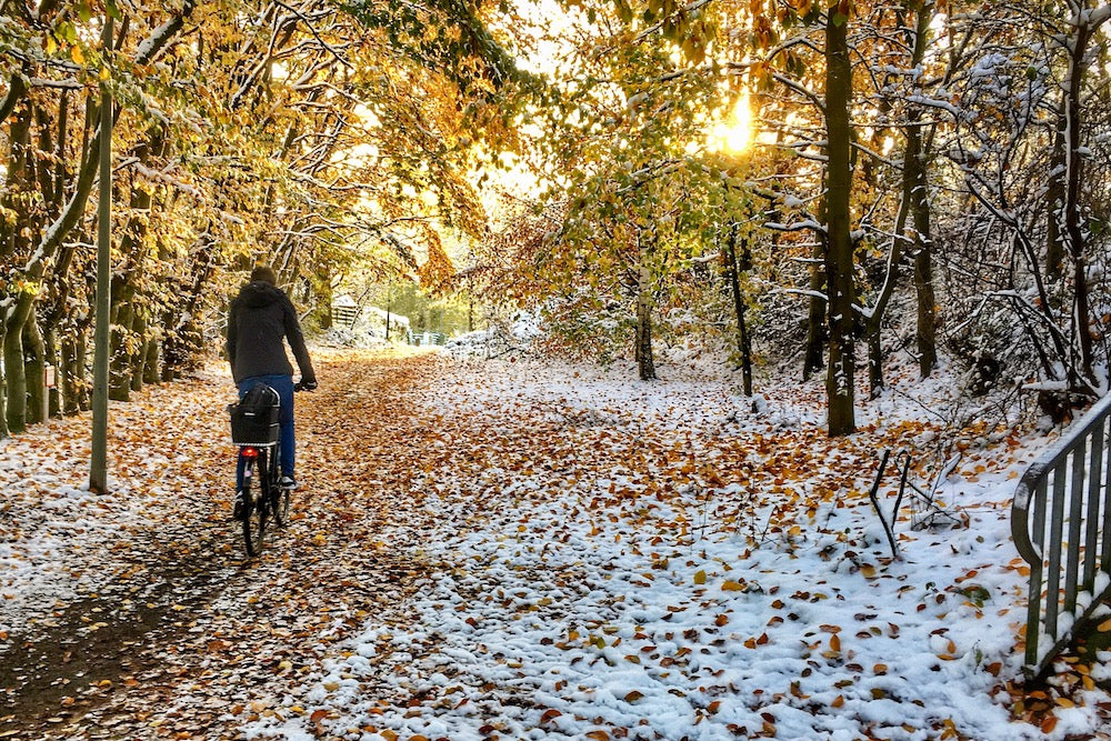 Mastering Winter Terrain: Tips and Tricks for Safely Riding E-Bikes in the Snow