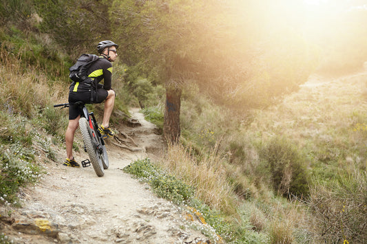 Experience the Thrill of Off-Road Riding with Mountain E-Bikes